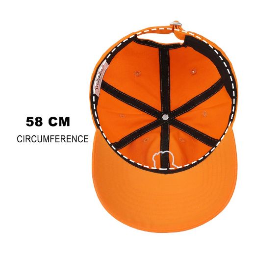 Picture of Pokemon Charmander Embroidered Hat